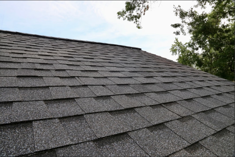 Shingle Roof Replacement